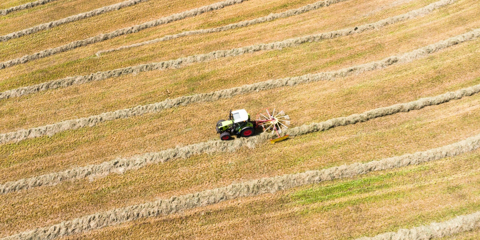Comment Réussir Sa Licence d'Histoire