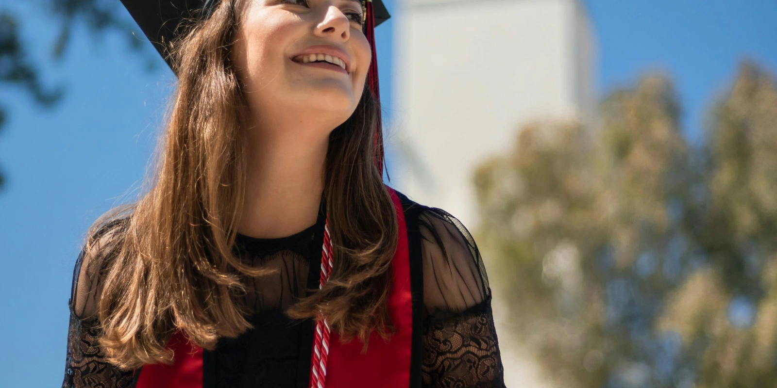 L'Histoire des Idées Politiques : Courants et Évolutions