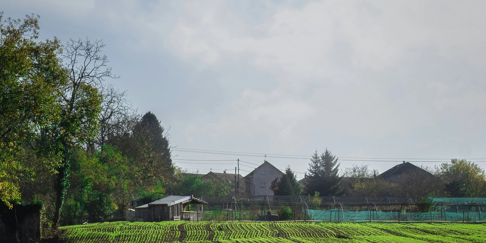 La Double Licence Histoire et Science Politique à Sorbonne Université