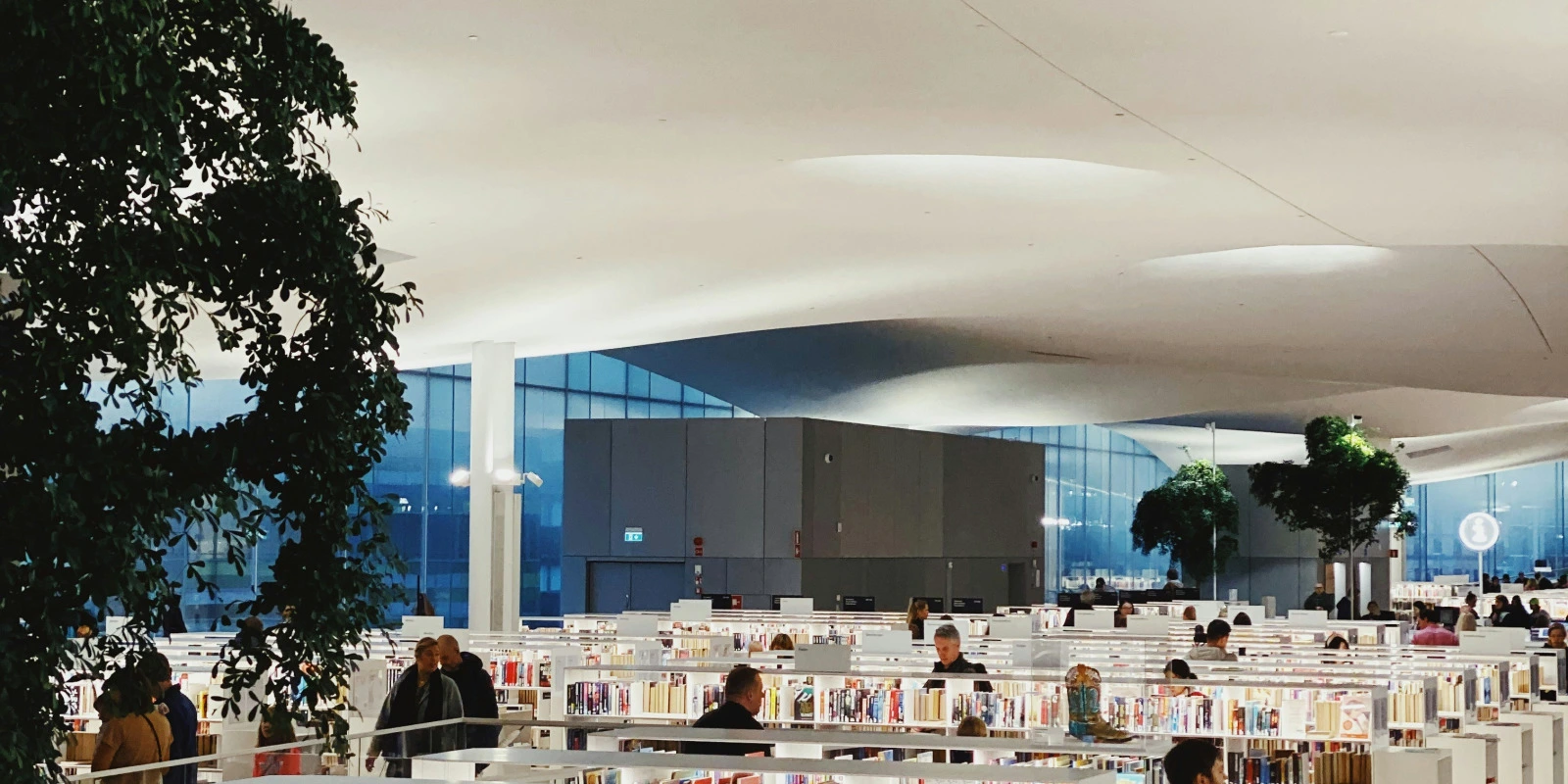 La Licence Histoire : Combien d'Années d'Études