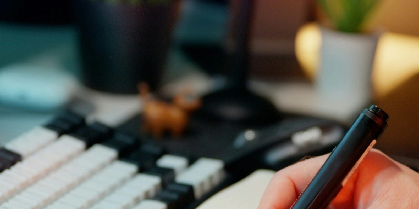 Les Compétences Apprises en Licence d'Histoire