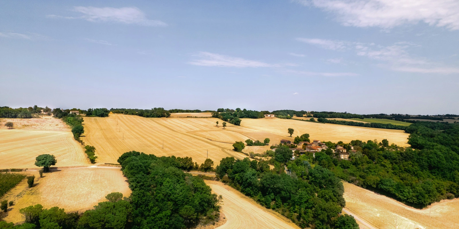 Les Débouchés Après un Master d'Histoire
