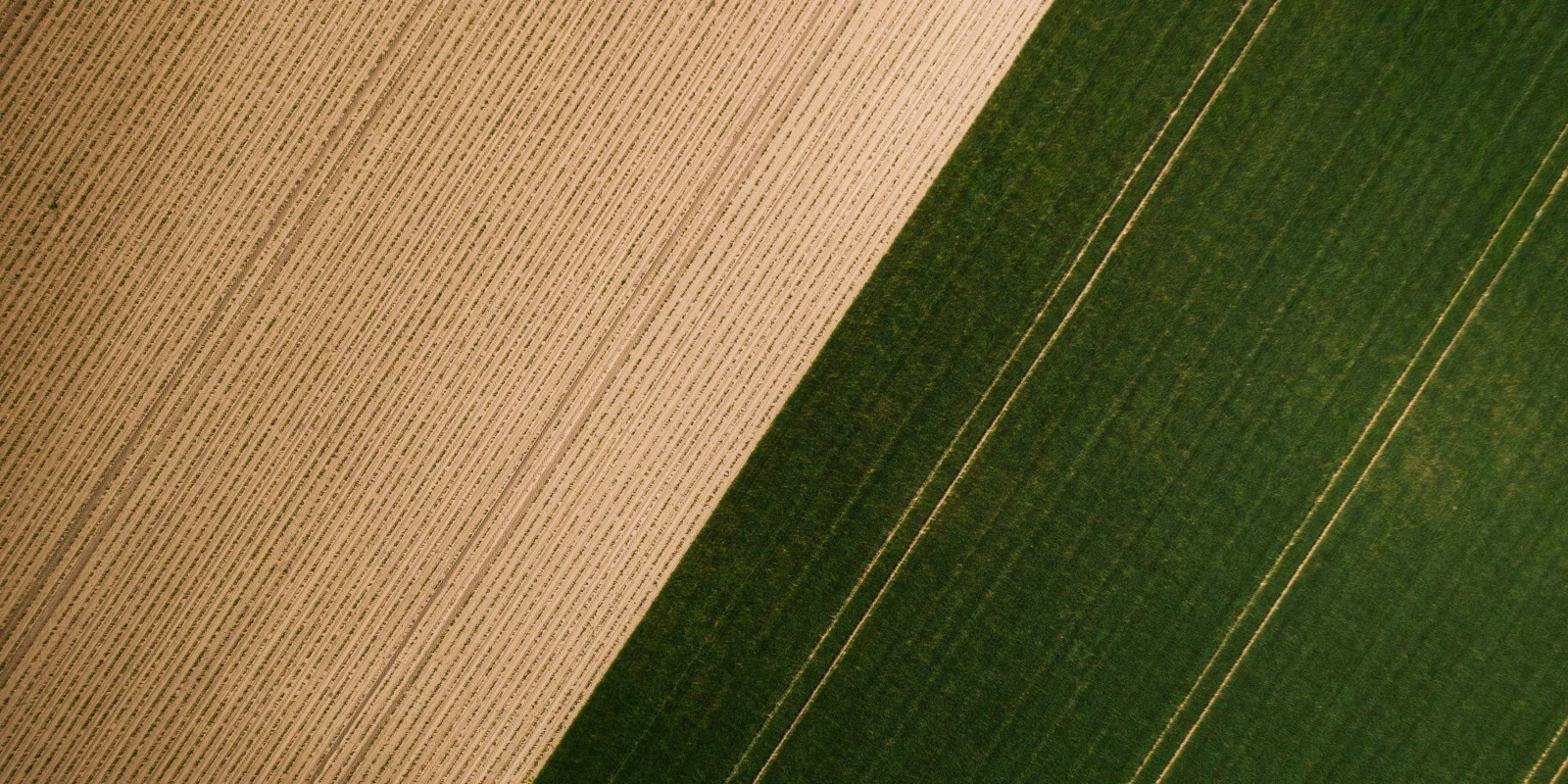 Les Institutions Politiques : De l'Antiquité à nos Jours