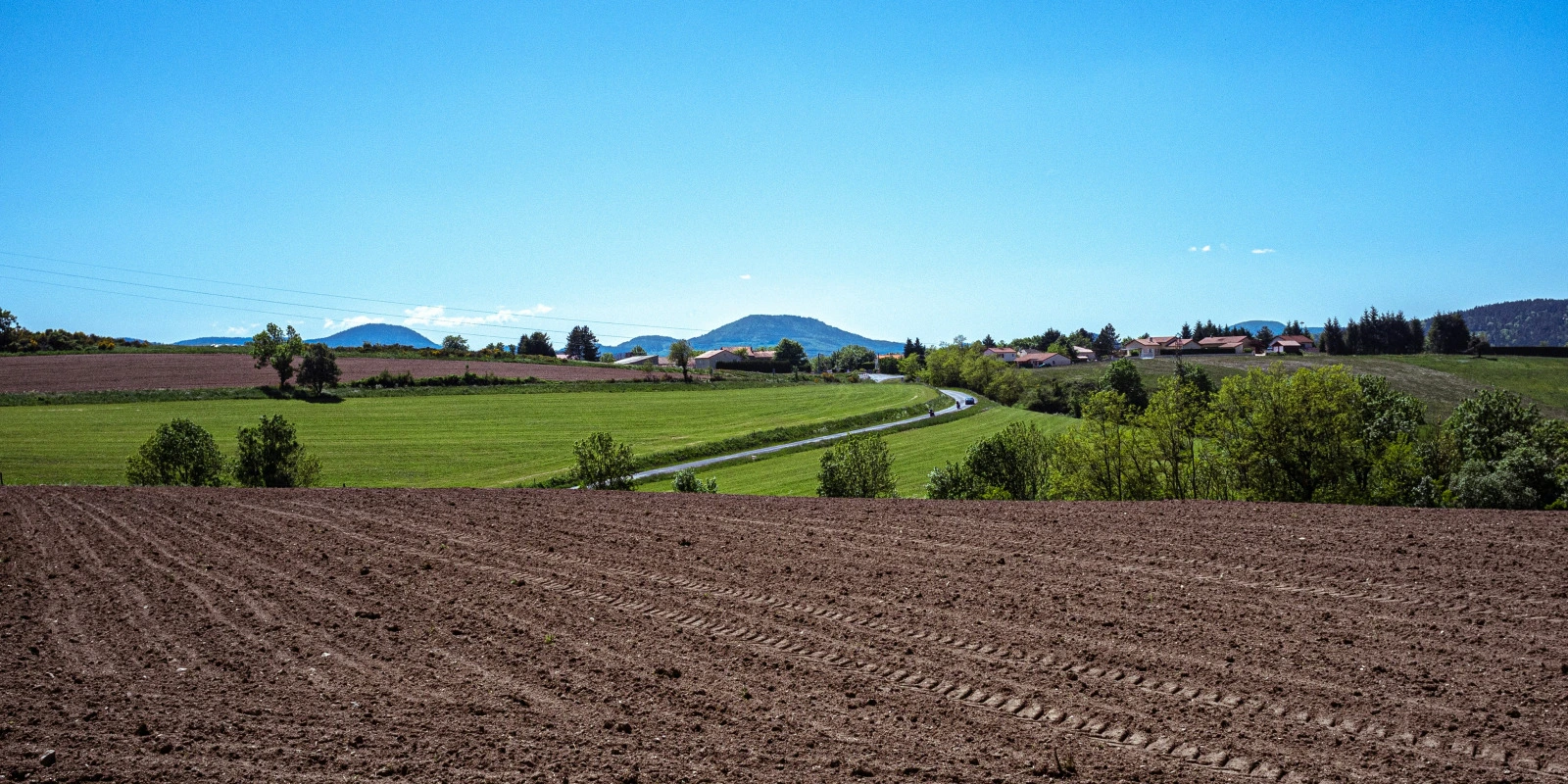 Les Meilleures Facultés pour une Licence Histoire en France