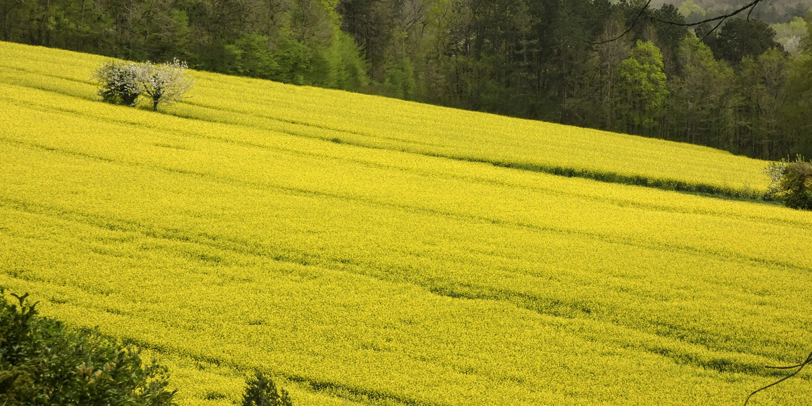 Licence Histoire : Comment Se Réorienter